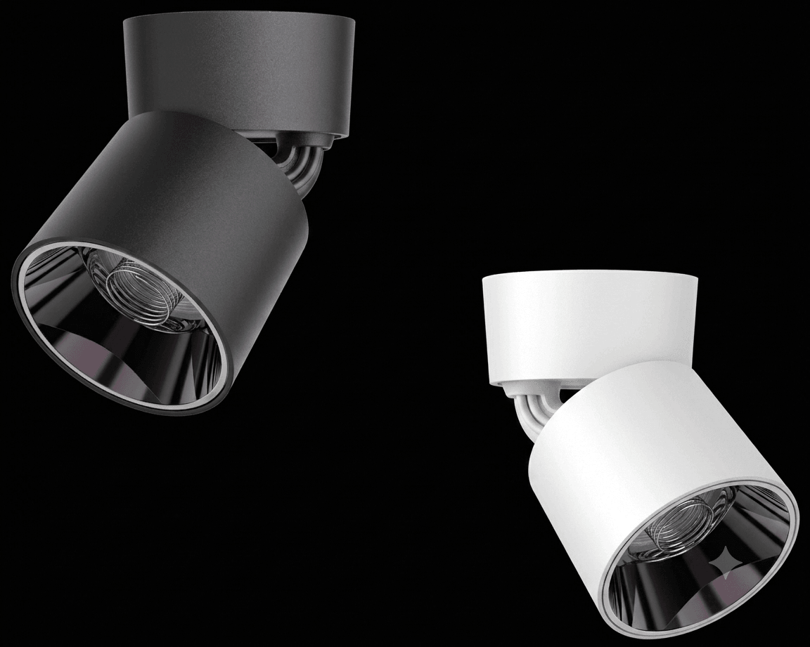 MS-257 Surface Mounted Down Light