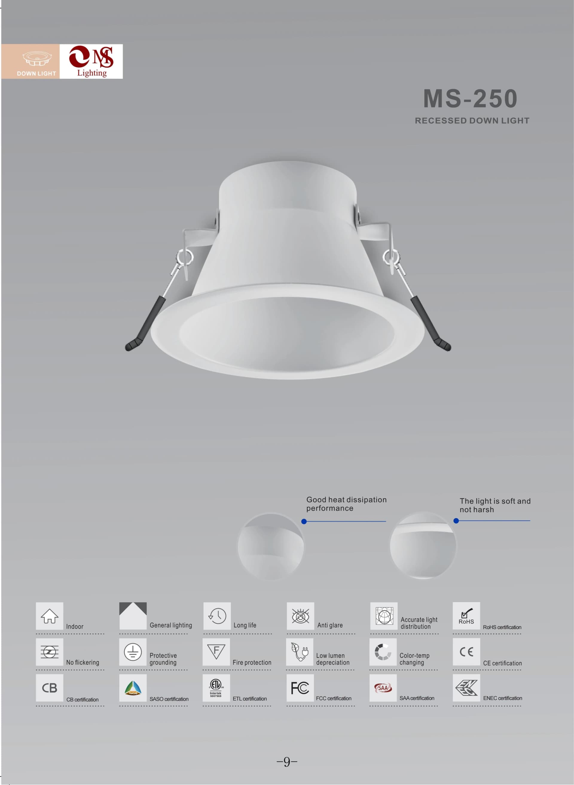 MS-250 Recessed Down Light