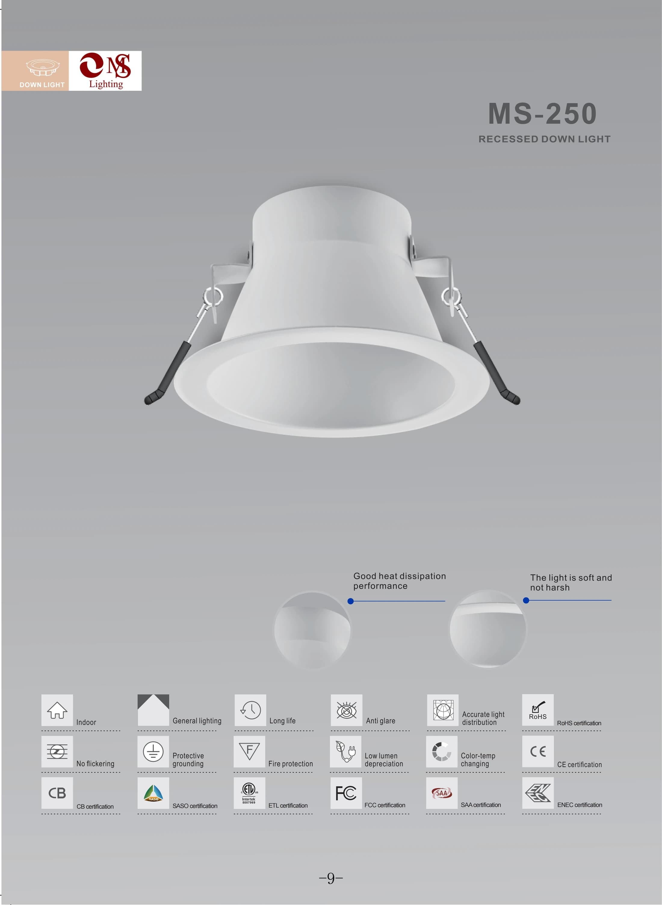 MS-250 Recessed Down Light