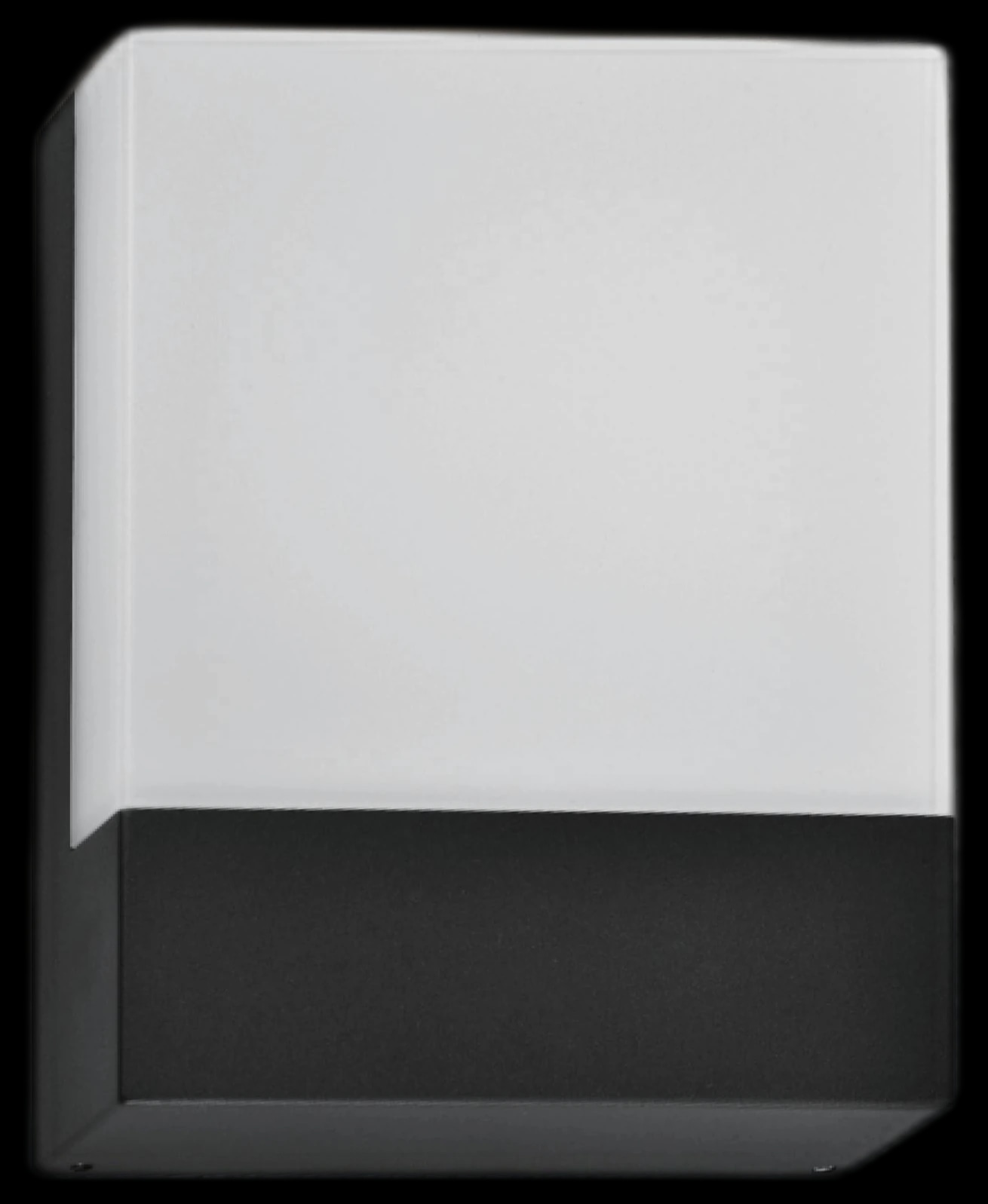 MS-W01 Wall Light