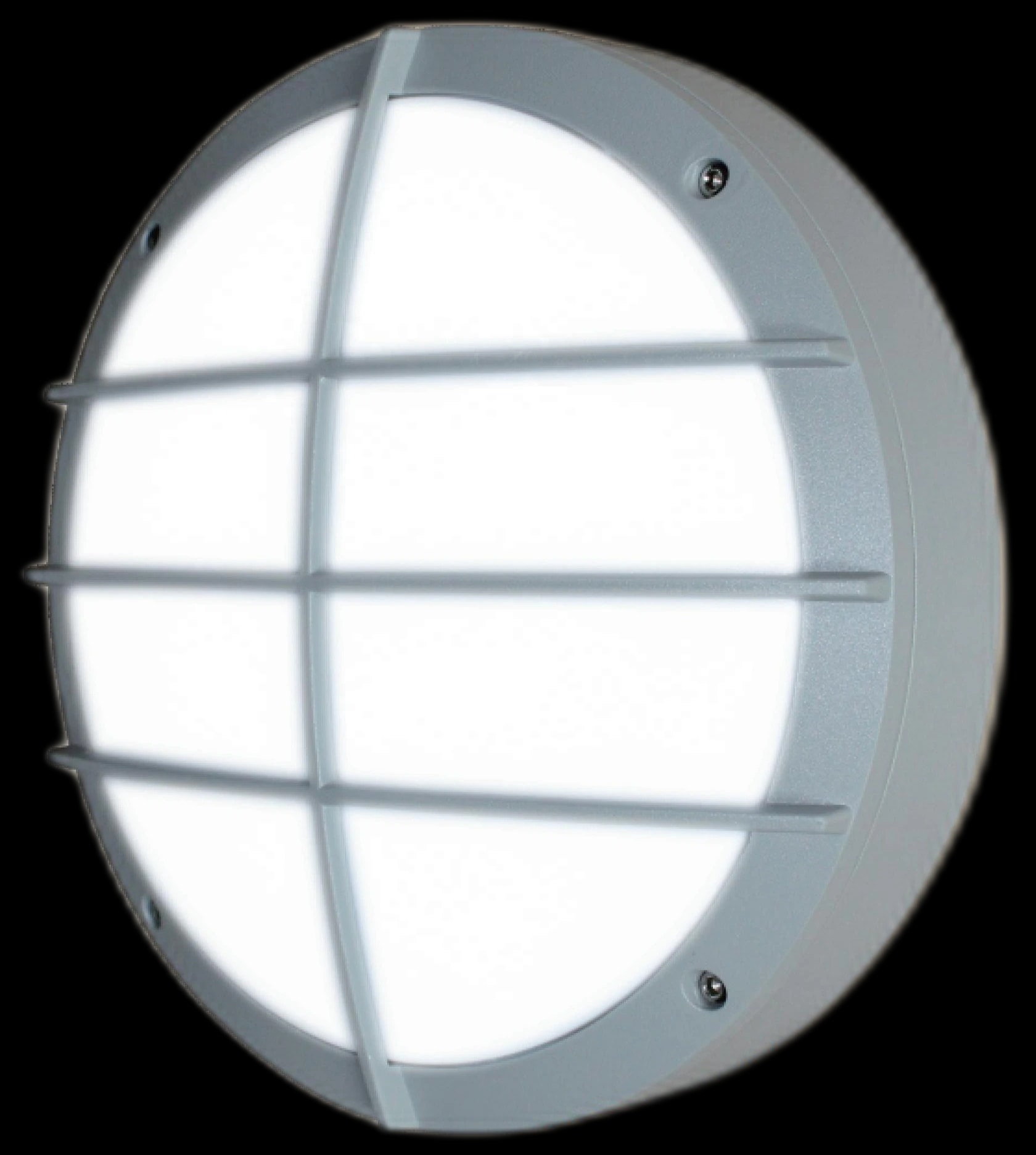 MS-W26 Wall Light