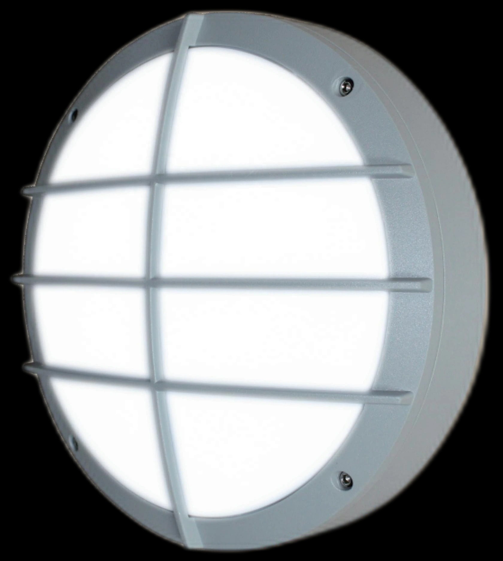 MS-W26 Wall Light