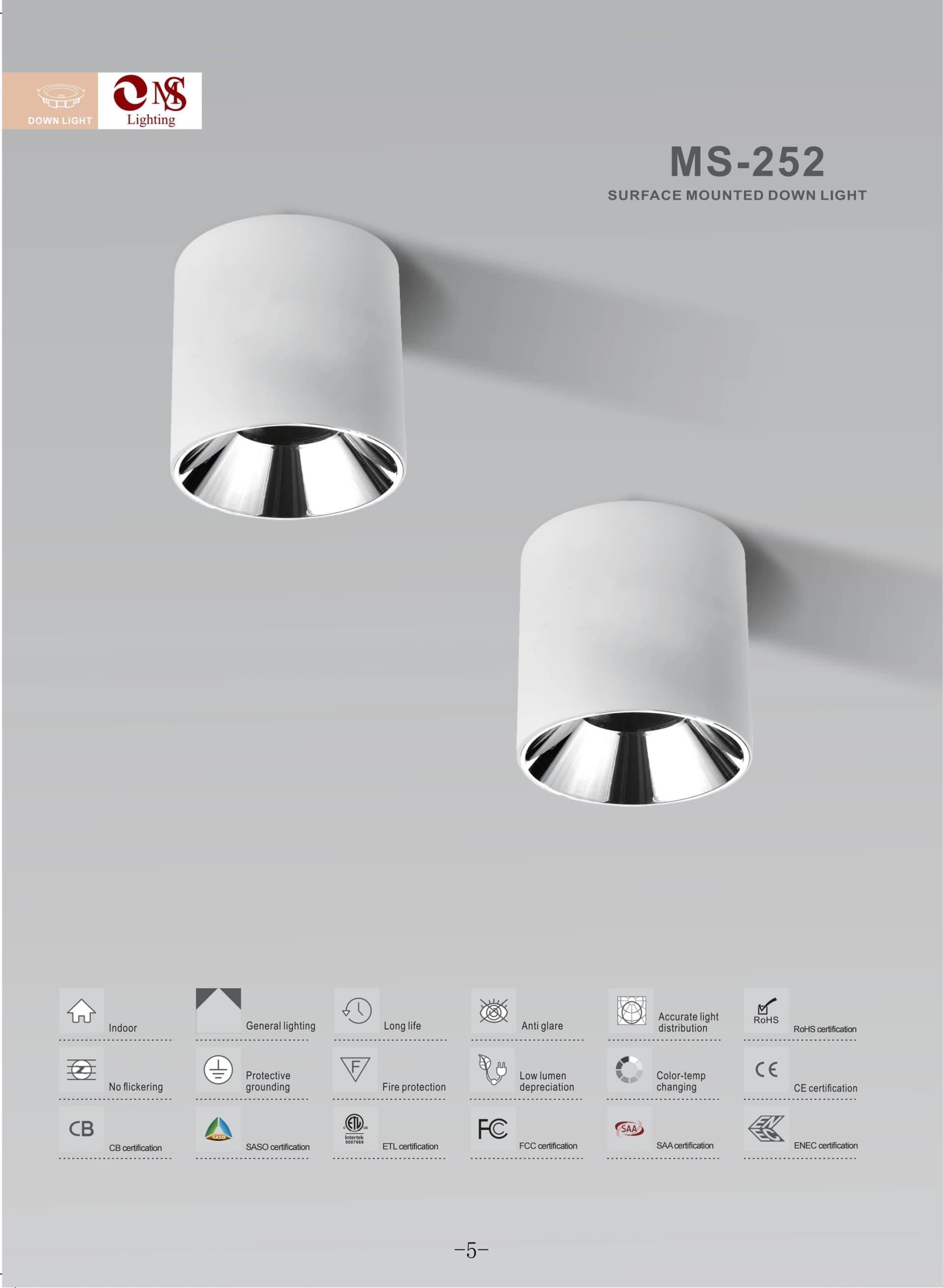 MS-252 Surface Mounted Down Light