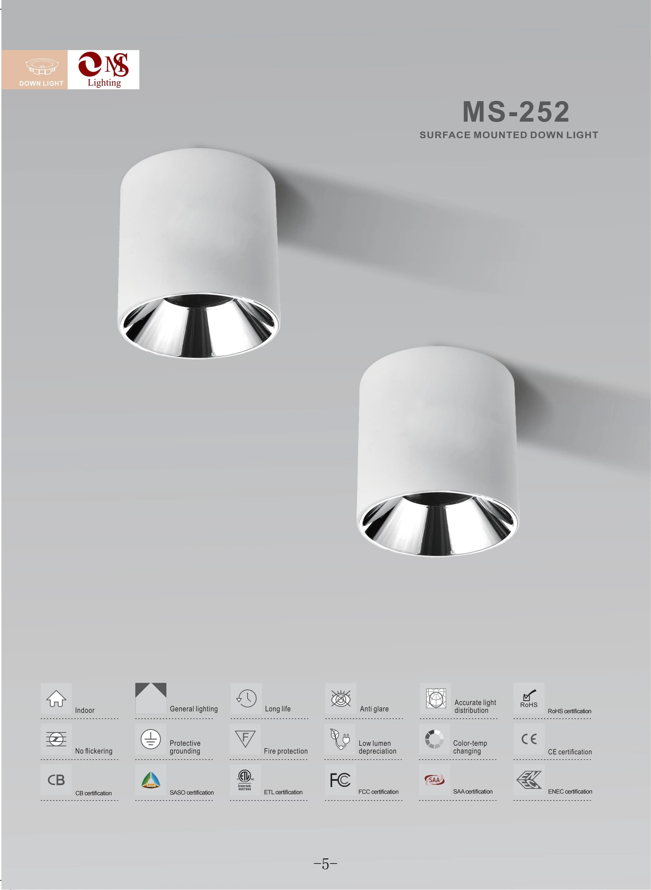 MS-252 Surface Mounted Down Light