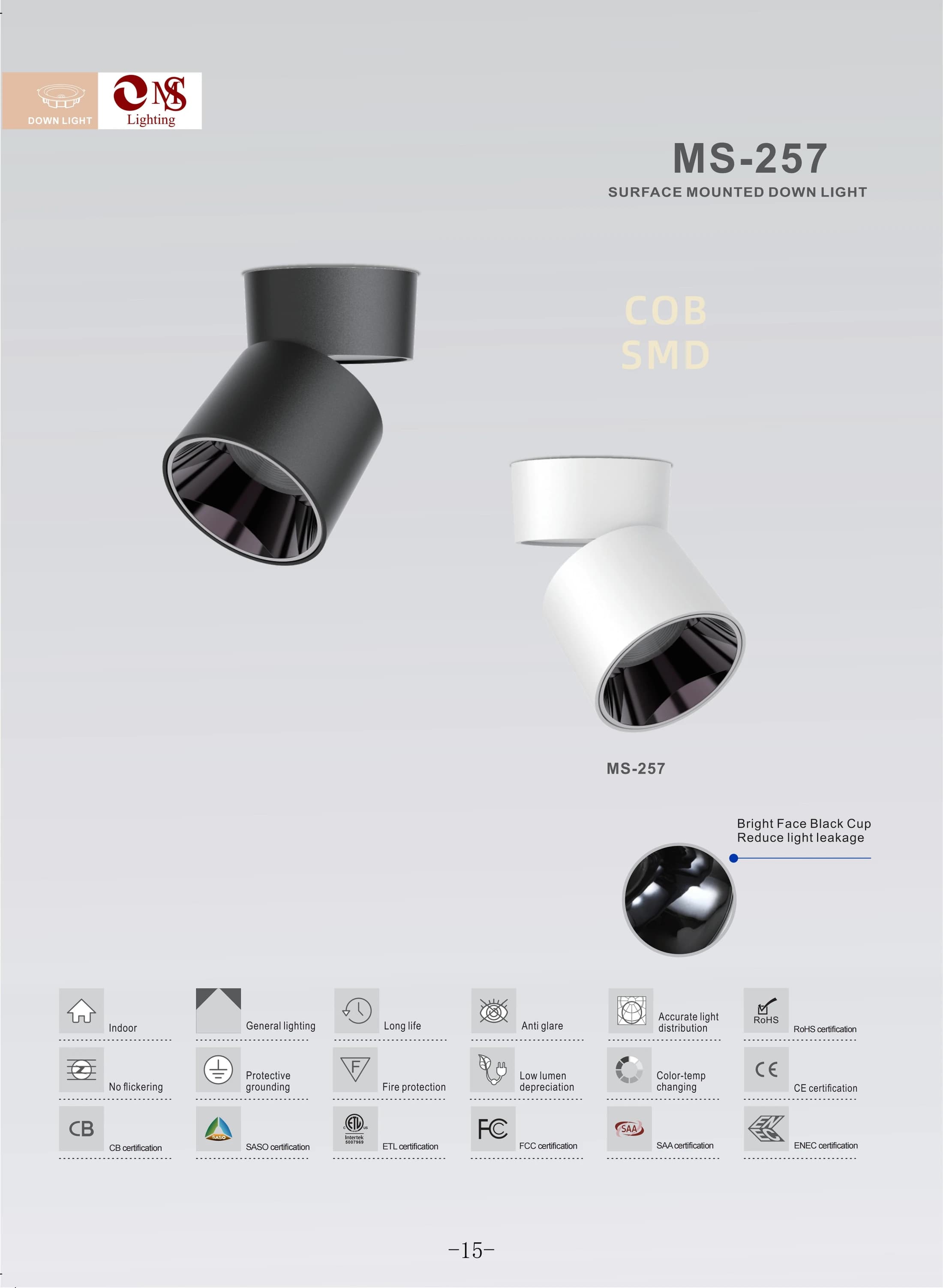 MS-257 Surface Mounted Down Light