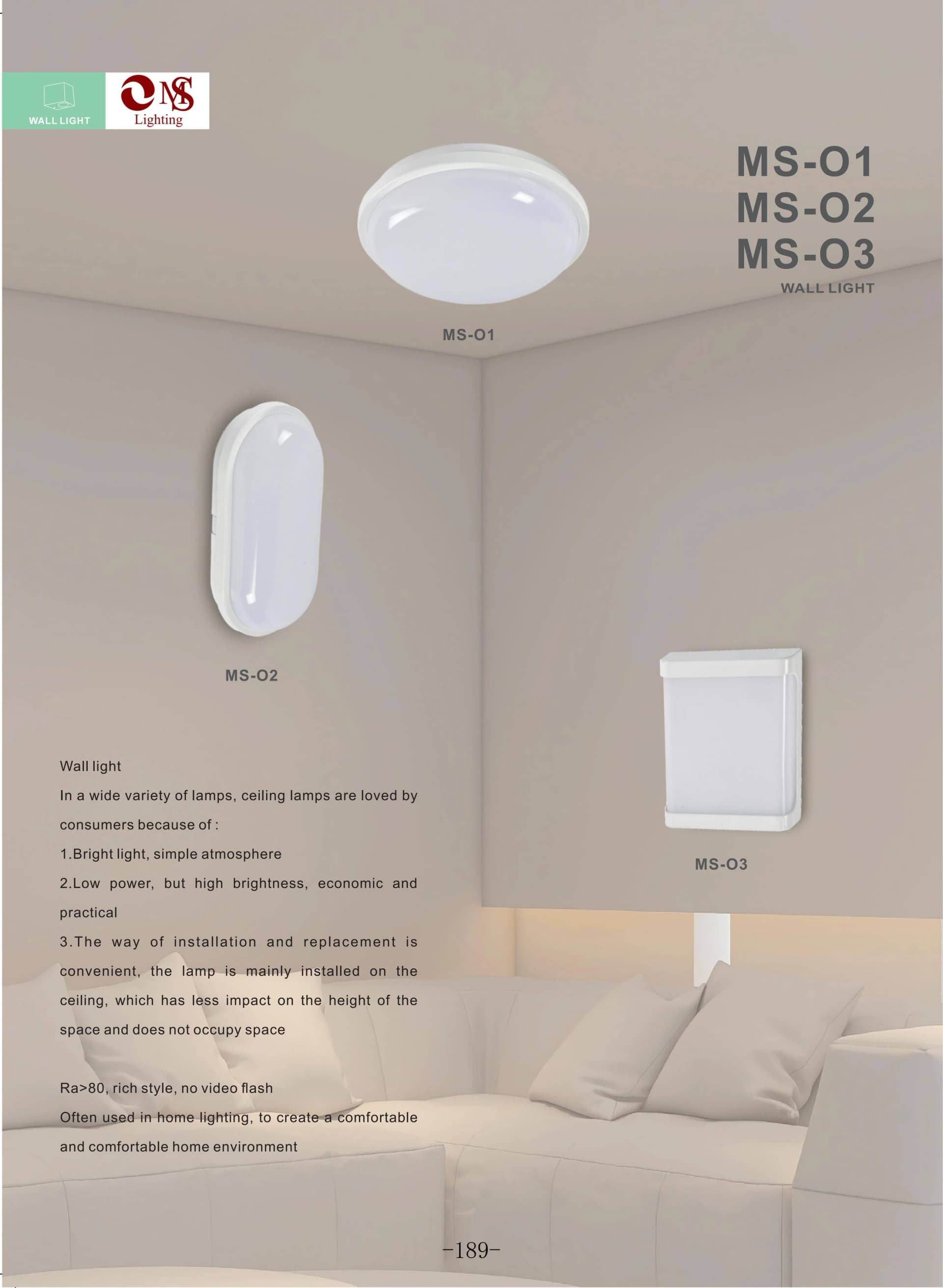 MS-O1 Ceiling Light