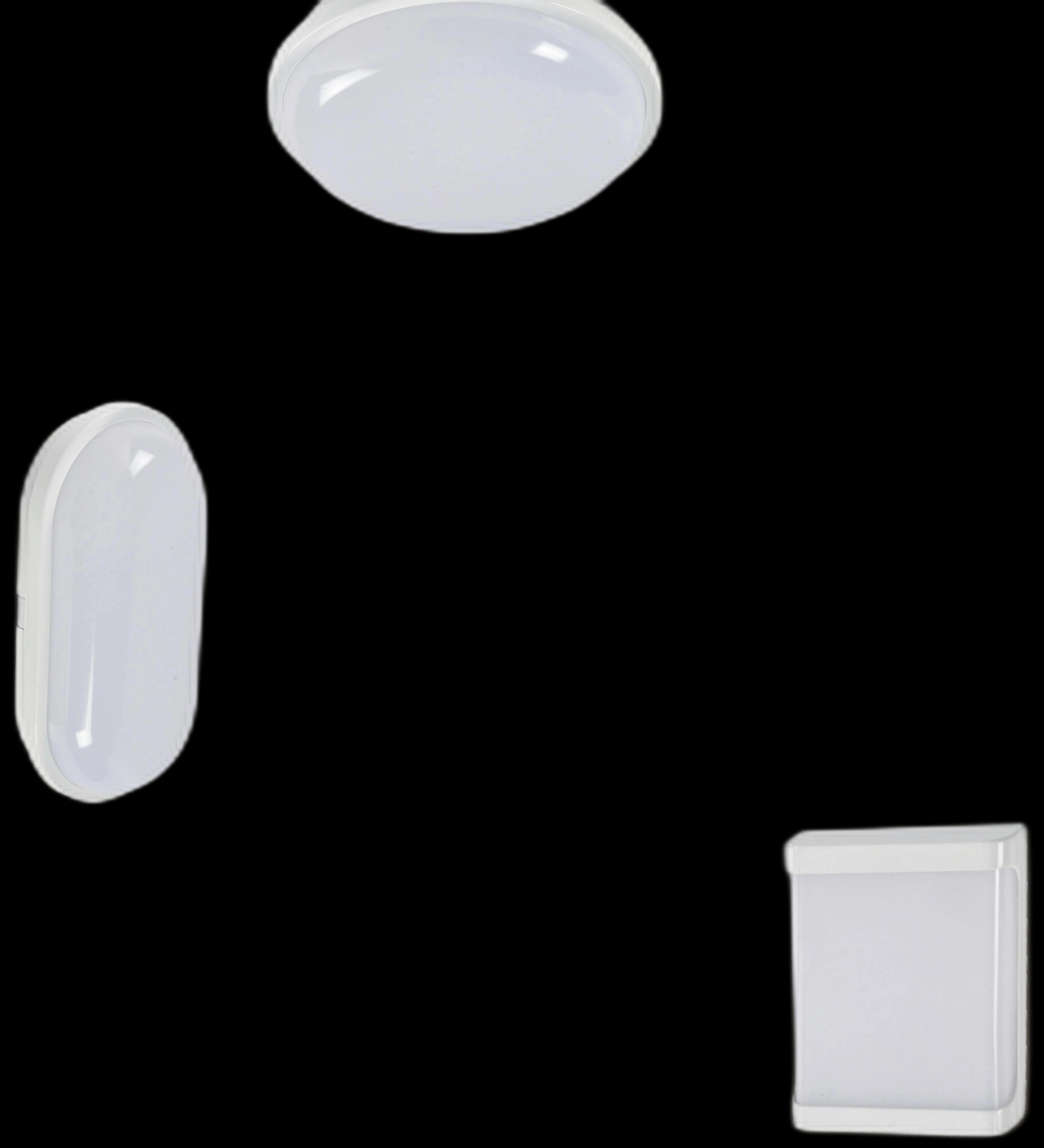 MS-O1 Ceiling Light